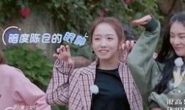 傅菁和杨超越最新爆料,娱乐圈背后的真实故事”